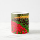 Search for keukenhof mugs Netherlands