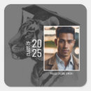 Search for black tiger stickers White