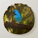 Search for blue bird cushions Pretty