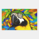 Search for macaw stickers Exotic