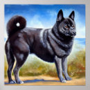 Search for norwegian elkhound Animal