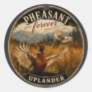 Search for pheasant stickers Ring necked pheasant