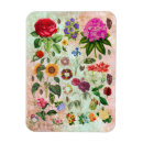 Search for flower illustrations magnets Plants