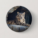 Search for leopard badges Wildlife