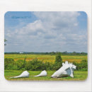 Search for shells on mousepads Beach