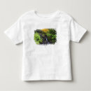 Search for blurred tshirts Destinations
