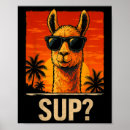 Search for funny llama posters Lets go brandon