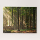 Search for autumn forest puzzles Woodland