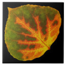 Search for green leaf tiles Nature