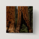Search for sequoia badges Public land