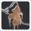 Search for oak leaf stickers Autumn