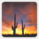 Search for sonoran desert stickers North america