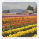Search for skagit valley stickers Nobody