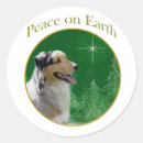 Search for australian shepherd stickers Aussie