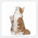 Search for sit ups stickers Cute