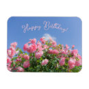 Search for rose blue magnets Photography