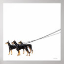 Search for leashes posters Dogs