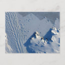 Search for antarctica postcards Winter