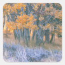 Search for fall scene stickers Outdoor