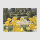 Search for exhibition photography French garden