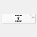 Search for parakeets bumper stickers Budgerigar