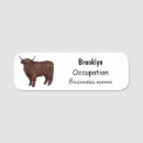 Search for cow name tags Cattle