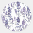 Search for lavender fields stickers Botanical