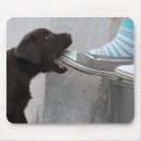 Search for swallow mousepads Funny