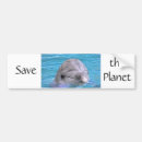 Search for dolphin bumper stickers Ocean