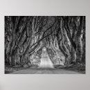 Search for antrim art Dark hedges