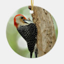 Search for woodpecker christmas tree decorations Birds and blooms