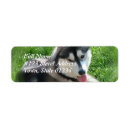 Search for husky return address labels Puppy