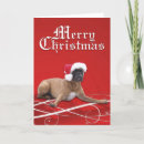 Search for boxer christmas cards Merry