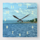 Search for caribbean clocks Tropics