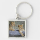 Search for lion key rings Lincoln peak