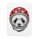 Search for daredevils Cute