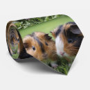 Search for cavy ties Rodent