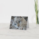 Search for pointe cards Cat