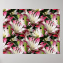 Search for white lily art Nature