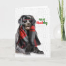 Search for newfoundland dog cards Pets