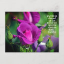 Search for purples postcards Motivational