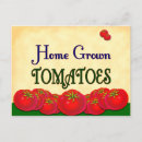 Search for homegrown postcards Tomato