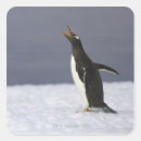 Search for gentoo stickers Penguins