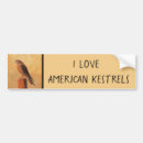 Search for raptor bumper stickers Bird