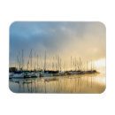Search for breaking magnets Seascape