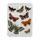 Search for moth magnets Flowers