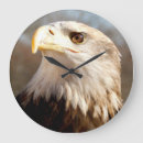 Search for american bald eagle art Patriotic