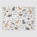 Search for newborn baby boy tissue paper For kids