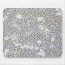 Search for experiences electronics Biology