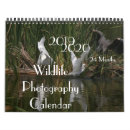 Search for 2020 photography Animals